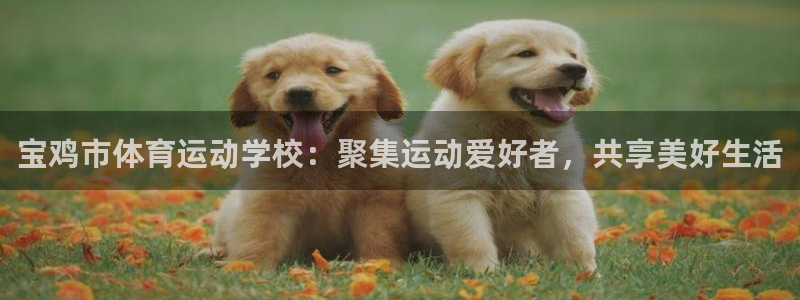 必一运动：宝鸡市体育运动学校：聚集运动爱好者，共享美好生活