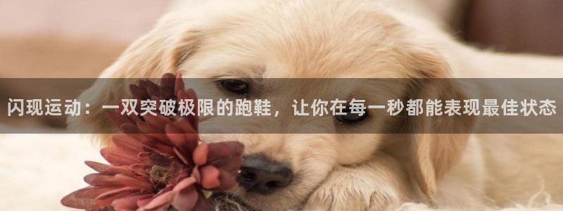 必一运动官网入口：闪现运动：一双突破极限的跑鞋，让你在每一秒都能表现最佳状态
