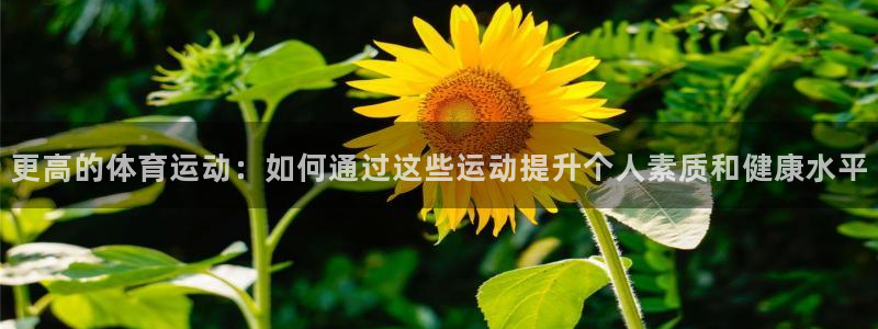 bsports官网 必一运动：更高的体育运动：如何通过这些运动提升个人素质和健康水平
