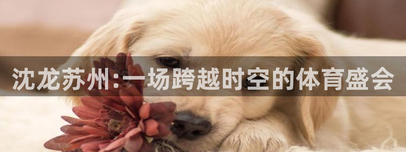 必一运动：沈龙苏州:一场跨越时空的体育盛会