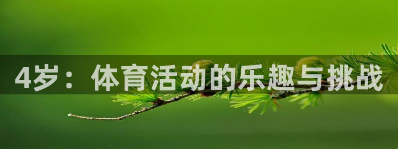 bsports必一运动：4岁：体育活动的乐趣与挑战