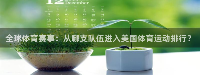 必一运动：全球体育赛事：从哪支队伍进入美国体育运动排行？