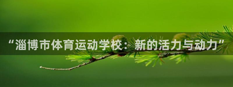 必一运动官网：“淄博市体育运动学校：新的活力与动力”
