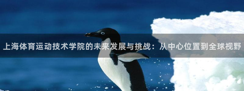 bsports官网 必一运动：上海体育运动技术学院的未来发展与挑战：从中心位置到全球视野