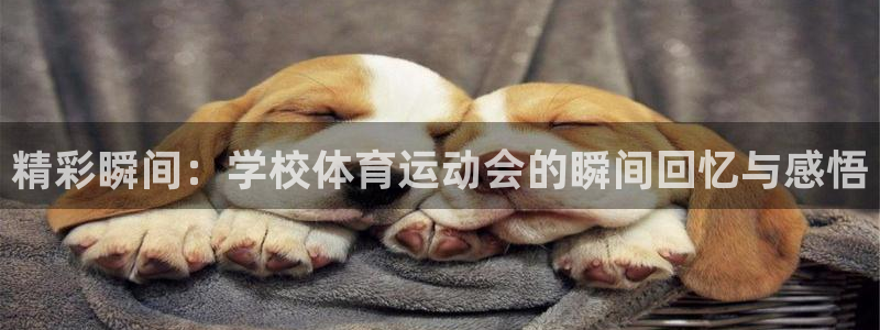 必一运动体育官网入口：精彩瞬间：学校体育运动会的瞬间回忆与感悟
