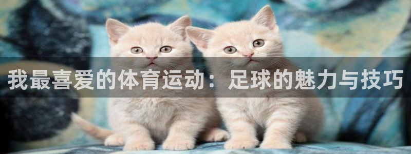 bsports官网 必一运动：我最喜爱的体育运动：足球的魅力与技巧