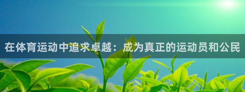 必一运动官网入口：在体育运动中追求卓越：成为真正的运动员和公民